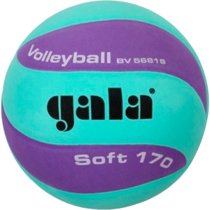 Мяч волейбольный Gala Soft 170 №5 Green-Purple (BV5681SCF) в Одессе