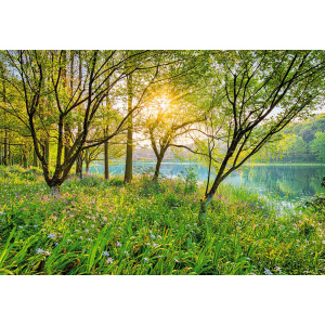 Фотообои бумажные Komar Spring Lake (Весеннее озеро NG) 368х254 см (8-524) лучшая модель в Одессе