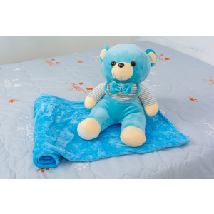 Плед детский MirSon №1052 Bear Blue 100х160 (2200003094039) ТОП в Одессе