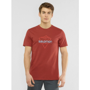 Футболка Salomon Blend Logo Tee M LC1408500 S Коричнева (0193128345792) в Одесі