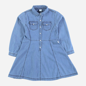 Сукня джинсова з довгими рукавами Piazza Italia 70029 172 см Denim (2070029001089) ТОП в Одесі