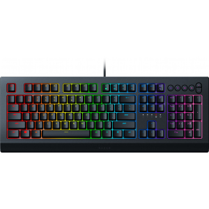 Клавіатура провідна Razer Cynosa V2 USB RU (RZ03-03400700-R3R1) ТОП в Одесі