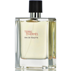 Тестер Туалетна вода для чоловіків Hermes Terre D'hermes 100 мл (3346131400027) в Одесі