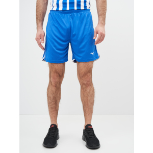 Спортивні шорти Mizuno High-Kyu Short V2EB700122 L (5054698344941) в Одесі