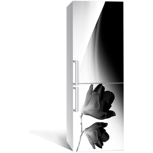 Вінілова 3D наклейка на холодильник Zatarga Мінімалізм та магнолія 650х2000 мм (Z180948re) краща модель в Одесі