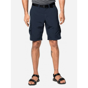 Шорти Jack Wolfskin Canyon Cargo Shorts 1504201-1010 48 (4055001473199) ТОП в Одесі