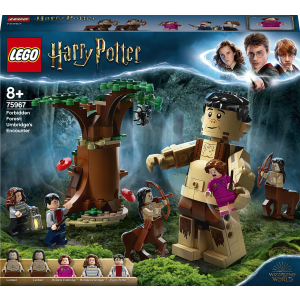 купити Конструктор LEGO Harry Potter Заборонений ліс: Грохх та Долорес Амбридж 253 деталі (75967)