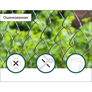 купити Сітка Рабиця оцинкована Сітка Захід 50х50/2,0мм 1,2м/10м