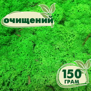 Очищений стабілізований мох ягель Nordic moss Зелений трав'яний світлий 150 грам ТОП в Одесі