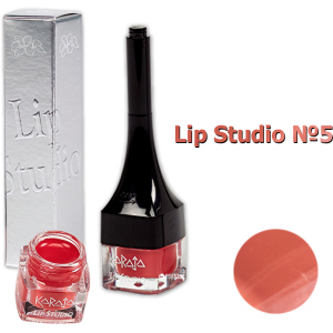 Губная помада Karaja Lip Studio 5 2.5 мл (8058150550403) ТОП в Одесі