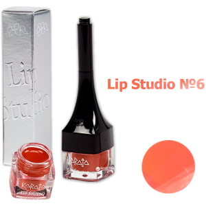 Губная помада Karaja Lip Studio 6 2.5 мл (8058150550410) в Одесі