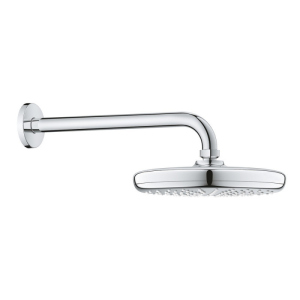 Лейка для верхнего душа с держателем Grohe Tempesta 210 (26411000) ТОП в Одессе