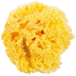 Натуральна морська губка Ok Baby Honeycomb Sea Sponge розмір 12 (38471200) в Одесі