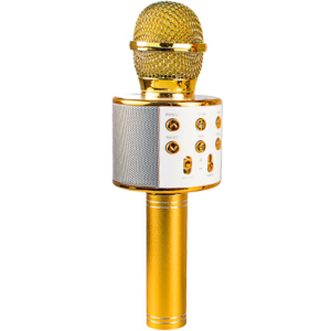 Игрушка Qunxing Микрофон Золотой (WS-858-2)