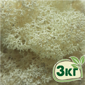 хорошая модель Стабилизированный мох ягель Nordic moss Натуральный белый 3 кг
