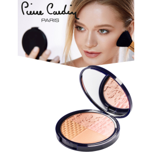 Румяна и хайлайтер для лица Pierre Cardin Selfie ready powder Портофино 010 11 мл (8680570441131) лучшая модель в Одессе